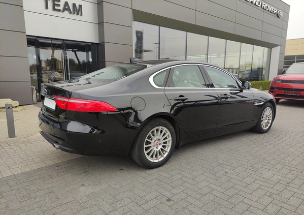 Jaguar XF cena 99900 przebieg: 155587, rok produkcji 2018 z Radzyń Podlaski małe 742